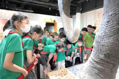 揭秘自然來信，共建綠色家園 | 青少年科學講壇引領自然探索新風尚